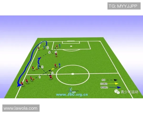 新西兰与葡萄牙足球对决全面分析战术特点及球员表现