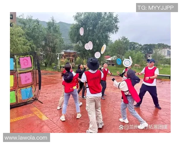 飞盘团队精神:深入解析北京飞盘队的协作与默契之道MBA