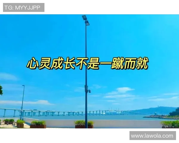 景菡一的成长之路与心灵探索：从平凡到非凡的蜕变旅程