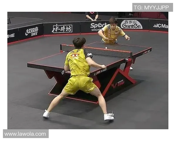 上海滑板队以97分领跑马拉松大满贯积分榜展现强劲实力