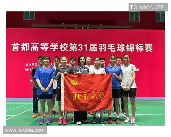 北京羽毛球队杯赛表现分析：团队配合与战术执行的完美结合