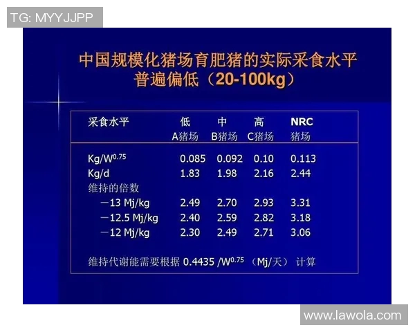 上海羽毛球队耐力训练的关键因素与提升策略探讨 上海羽毛球队耐力训练的关键因素与提升策略探讨