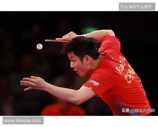 乒乓球意识排行榜揭晓杭州乒乓球队荣登第十名引发关注